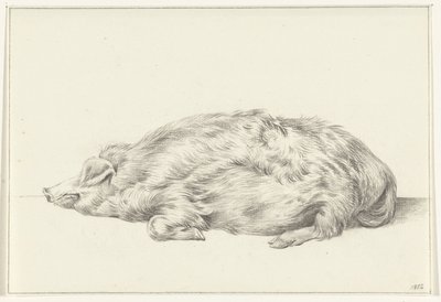 Cochon couché, vers la gauche - Jean Bernard