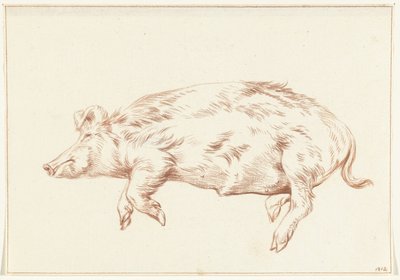 Cochon couché, vers la gauche - Jean Bernard