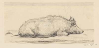Cochon couché, vers la droite - Jean Bernard