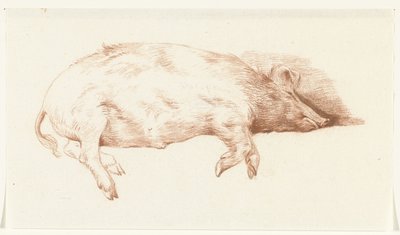 Cochon couché, vers la droite - Jean Bernard