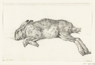 Lièvre mort couché - Jean Bernard