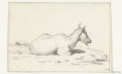 Chèvre couchée, vers la droite - Jean Bernard