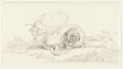 Chèvre couchée devant une chèvre debout - Jean Bernard