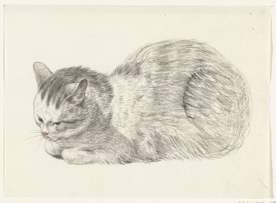 Chat couché, vers la gauche - Jean Bernard