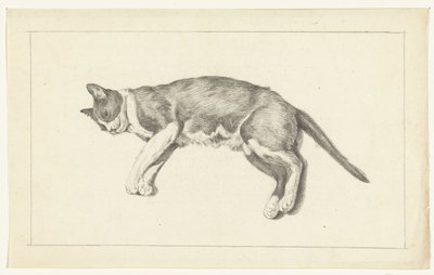 Chat couché, vu de gauche, de dessus - Jean Bernard