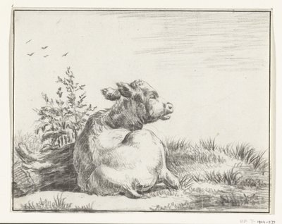 Vache couchée, de dos - Jean Bernard