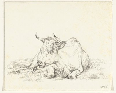 Vache couchée, de face - Jean Bernard
