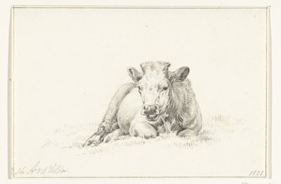 Vache couchée, de face - Jean Bernard