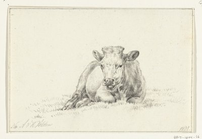 Vache couchée, de face - Jean Bernard