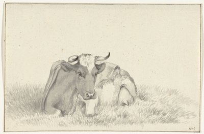 Vache couchée, de face - Jean Bernard