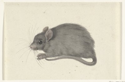 Souris, vers la gauche - Jean Bernard