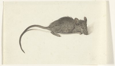 Souris, vers la droite - Jean Bernard