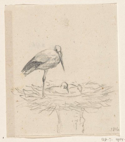 Cigogne sur un nid - Jean Bernard