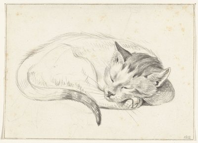 Chat endormi enroulé - Jean Bernard