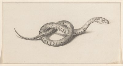 Serpent - Jean Bernard