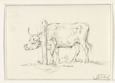 Vache debout, avec la tête entre des poteaux - Jean Bernard