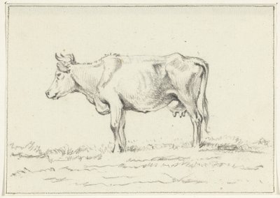 Vache debout, vers la gauche - Jean Bernard