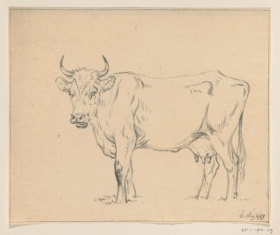 Vache debout, vers la gauche - Jean Bernard