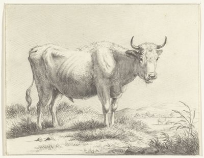 Vache debout, vers la droite - Jean Bernard