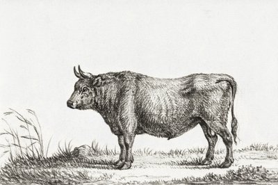 Standing Bull - Jean Bernard