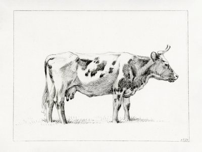Vache debout (1820) - Jean Bernard
