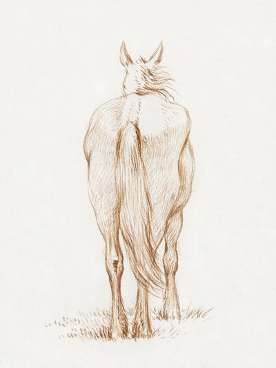Cheval debout (1815) de Jean Bernard - Jean Bernard