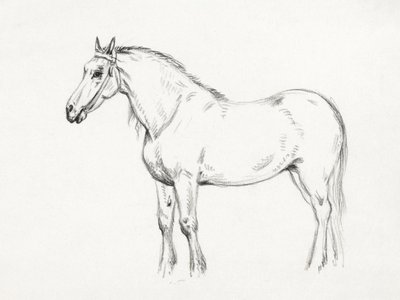 Cheval debout (1818) - Jean Bernard