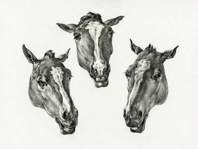 Trois têtes de cheval (1812) - Jean Bernard