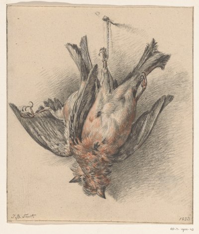 Deux oiseaux morts, suspendus à une ficelle - Jean Bernard