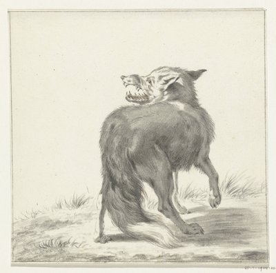 Renard - Jean Bernard