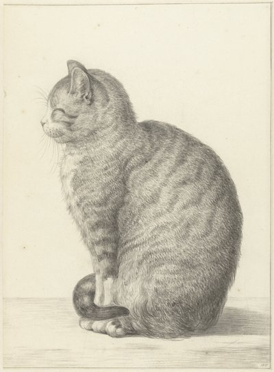 Chat assis, vers la gauche - Jean Bernard