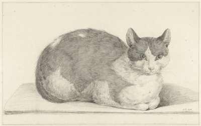 Chat assis, vers la droite - Jean Bernard