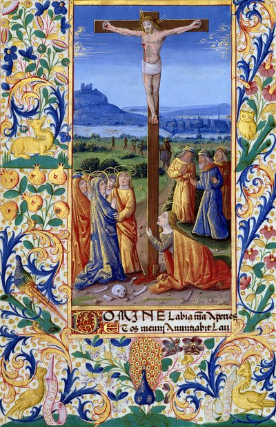 Ms Lat. Q.v.I.126 f.84v La Crucifixion, du 