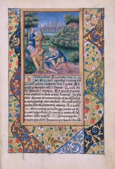 Ms Lat. Q.v.I.126 fol.17 L