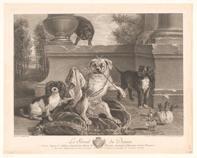 Trois chiens dont un déguisé sur un patio - Jean Daullé