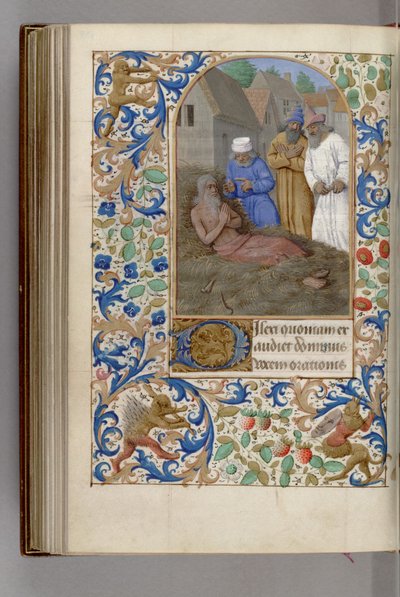 Job sur le fumier Livre d