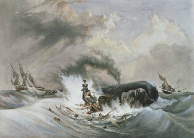 La baleine - Jean Francois (after) Garneray