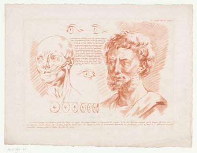 Deux têtes d