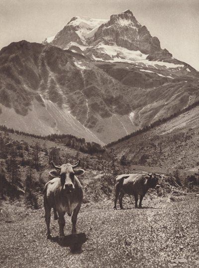 Suisse : Le Tödi - Jean Gaberell