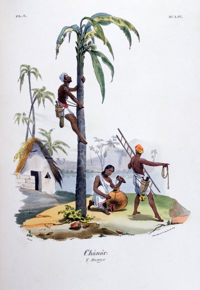Chanar, 1828 - Jean Henri Marlet