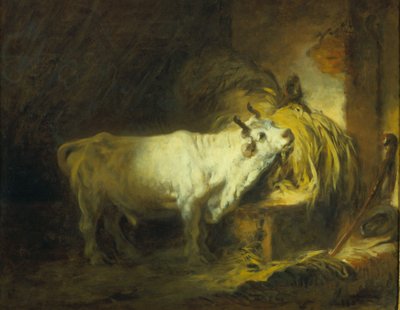 Le taureau blanc dans l