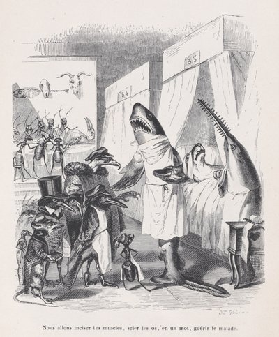 Nous allons inciser les muscles, scier les os, en un mot, guérir les malades de Sc..., vers 1837-1847 - Jean Ignace Isidore Gérard