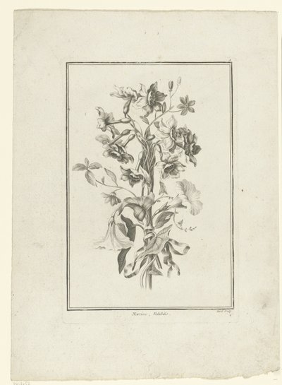 Bouquet de narcisses et volubilis - Jean Jacques Avril (I)