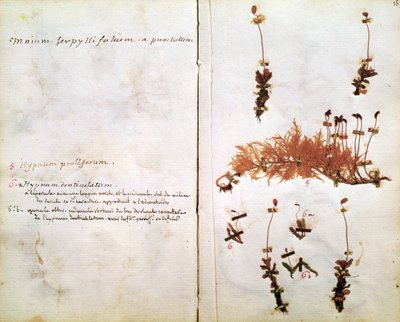 Page 15 d