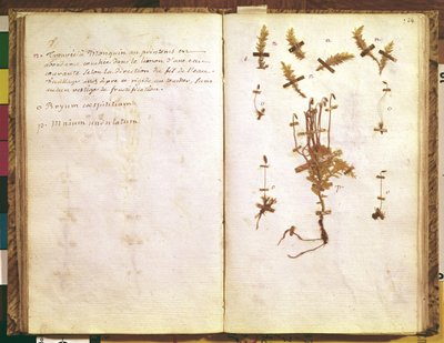 Page 24 d