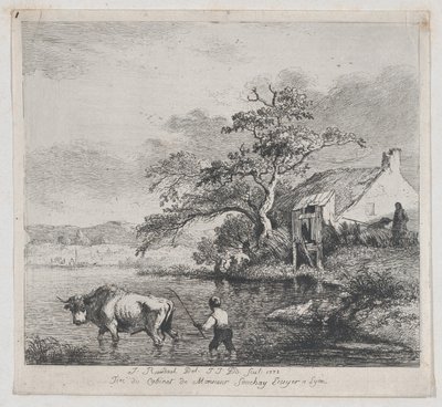 Bouvier et Taureau, d
