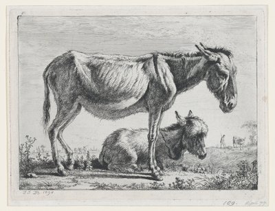 Jenny avec son Poulain - Jean Jacques de Boissieu