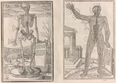 De dissectione partium corporis humani libri tres, 1545 - Jean Jollat