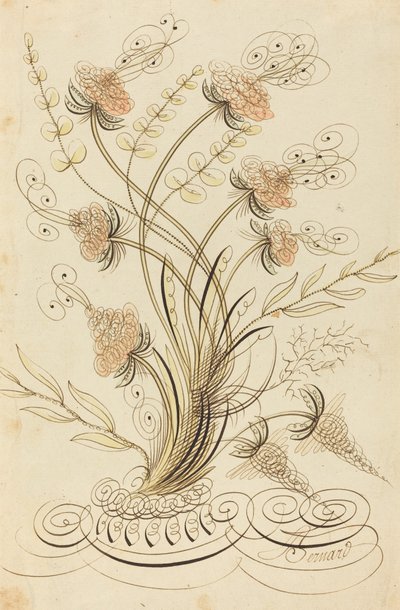 Fleurs calligraphiques - Jean Joseph Bernard called Bernard de Paris