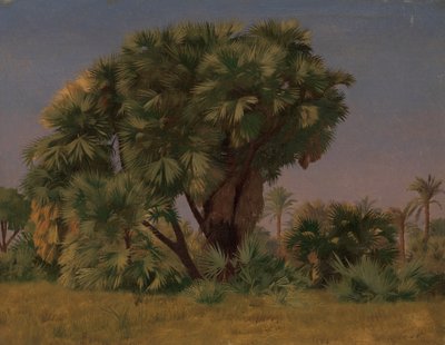 Étude de palmiers, probablement 1868 - Jean Leon Gerome